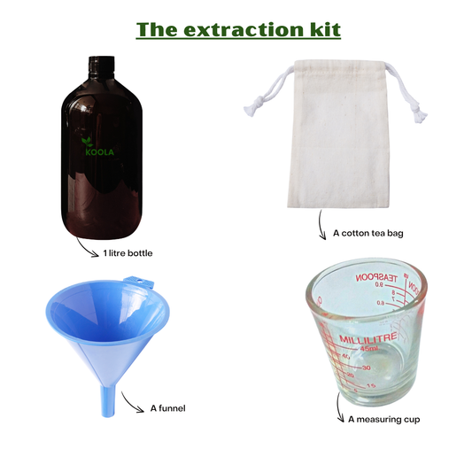 The tea extraction kit